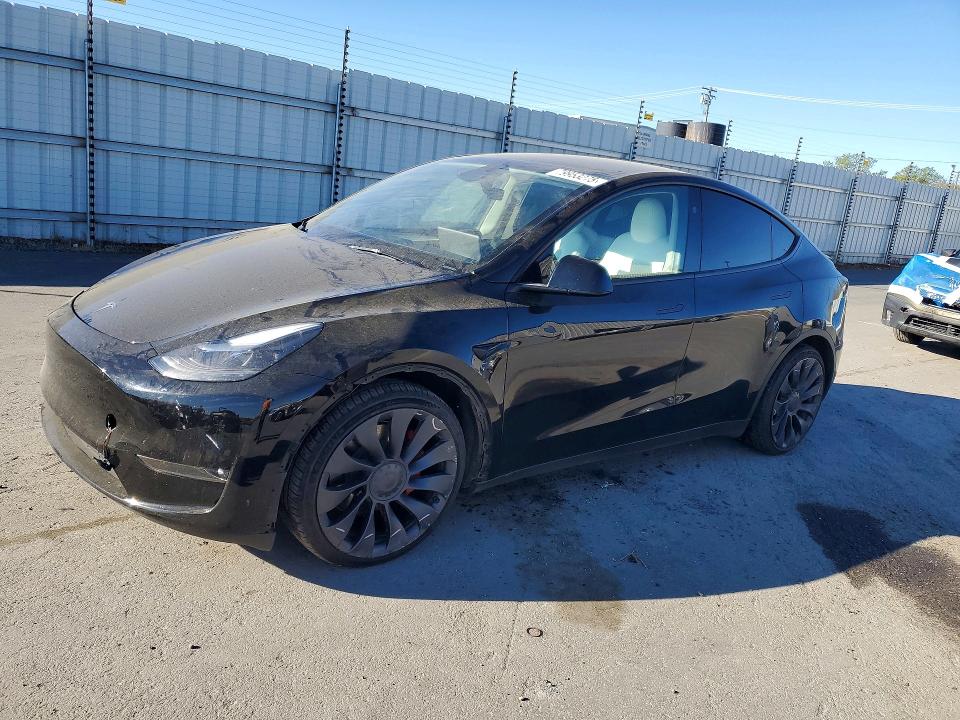 2024 TESLA MODEL Y — VIN 7SAYGDEFXRF064857