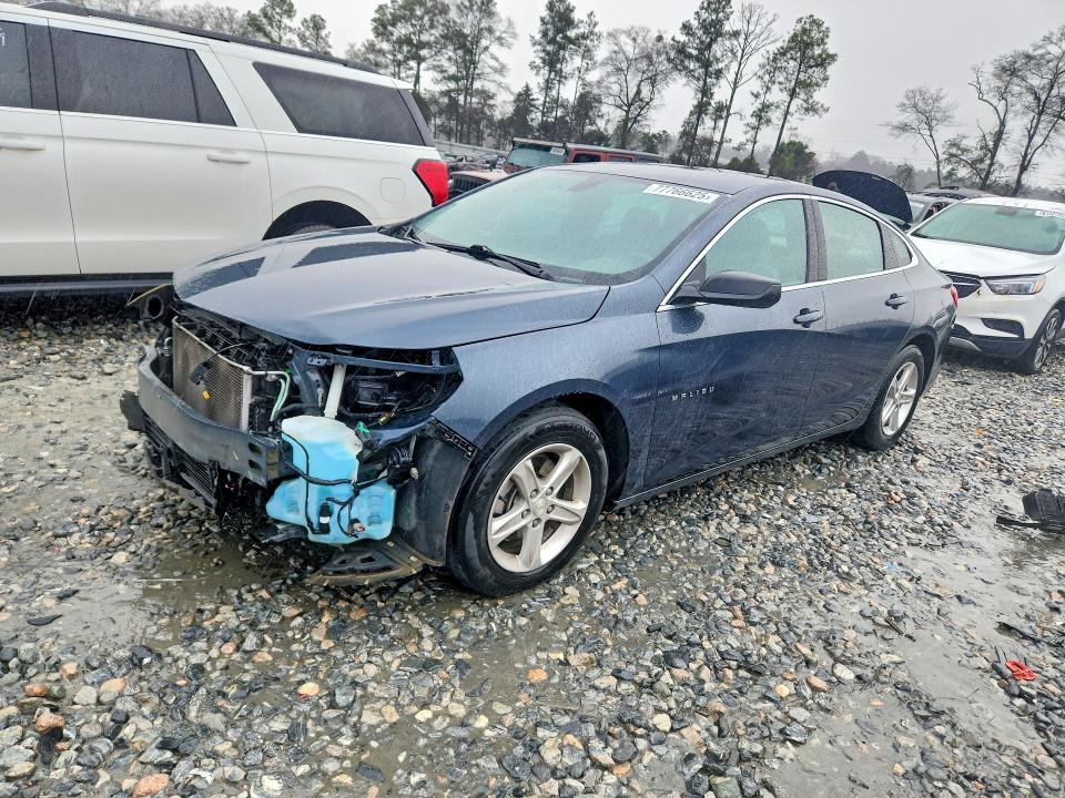 2019 CHEVROLET MALIBU — VIN 1G1ZB5ST5KF126305