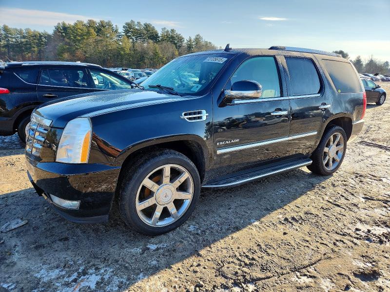 2010 CADILLAC ESCALADE — VIN 1GYUKAEF7AR103163