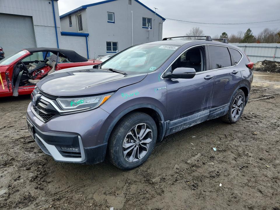 2020 HONDA CR-V — VIN 7FART6H89LE021175