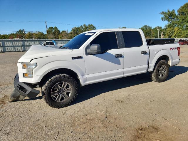 2015 FORD F150 — VIN 1FTEW1EF8FKD37990