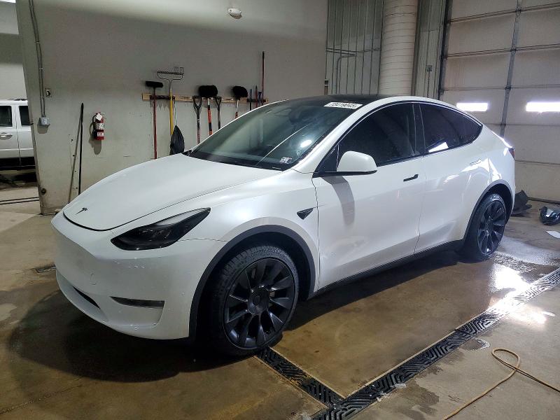 2023 TESLA MODEL Y — VIN 7SAYGDEE9PA195103