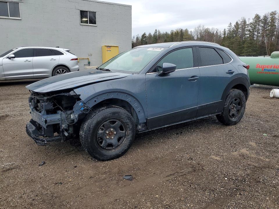 2021 MAZDA CX-30 — VIN 3MVDMBDLXMM206918