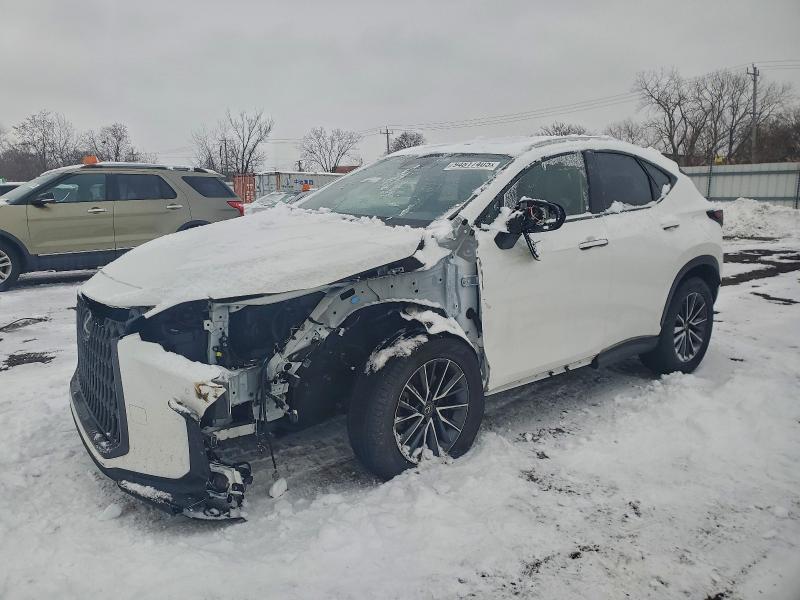 2024 LEXUS NX 250 PRE — VIN JTJGDCAZ2R2008343
