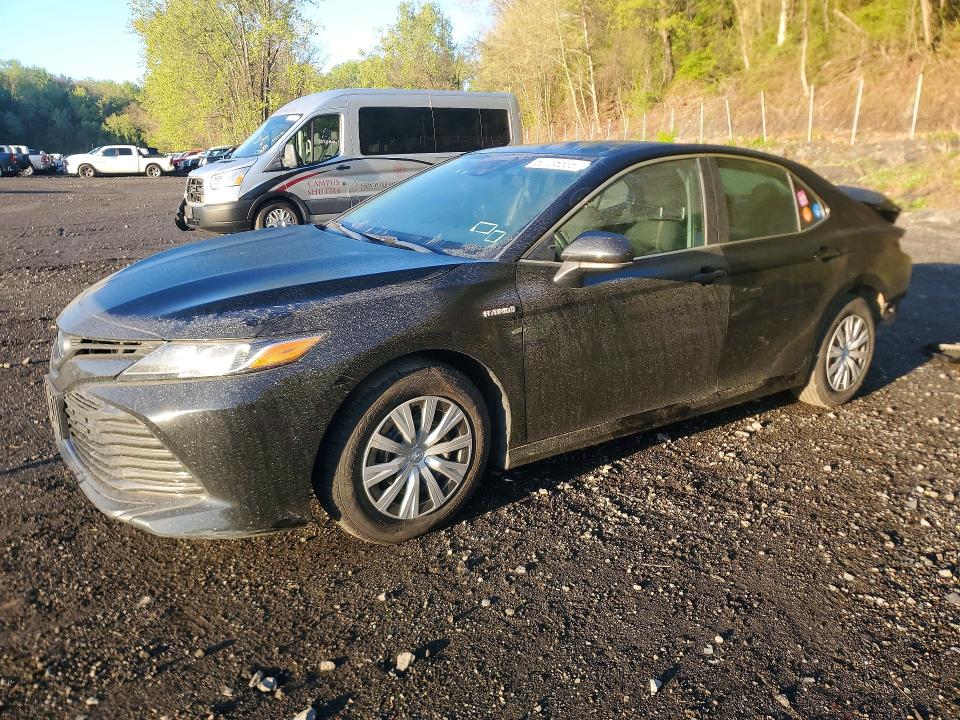 2019 TOYOTA CAMRY — VIN 4T1B31HKXKU006682