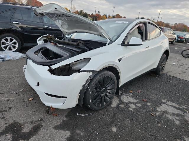 2023 TESLA MODEL Y — VIN 7SAYGDEE6PF825436