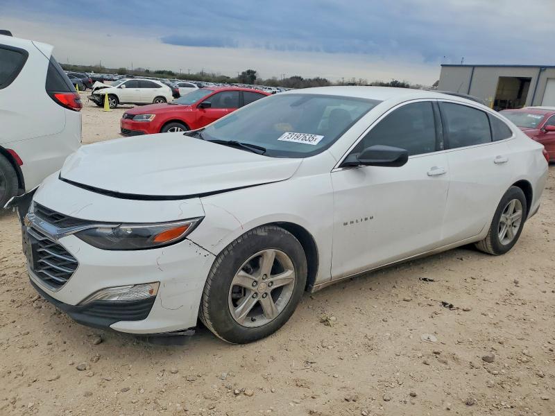 2019 CHEVROLET MALIBU — VIN 1G1ZB5ST5KF129429