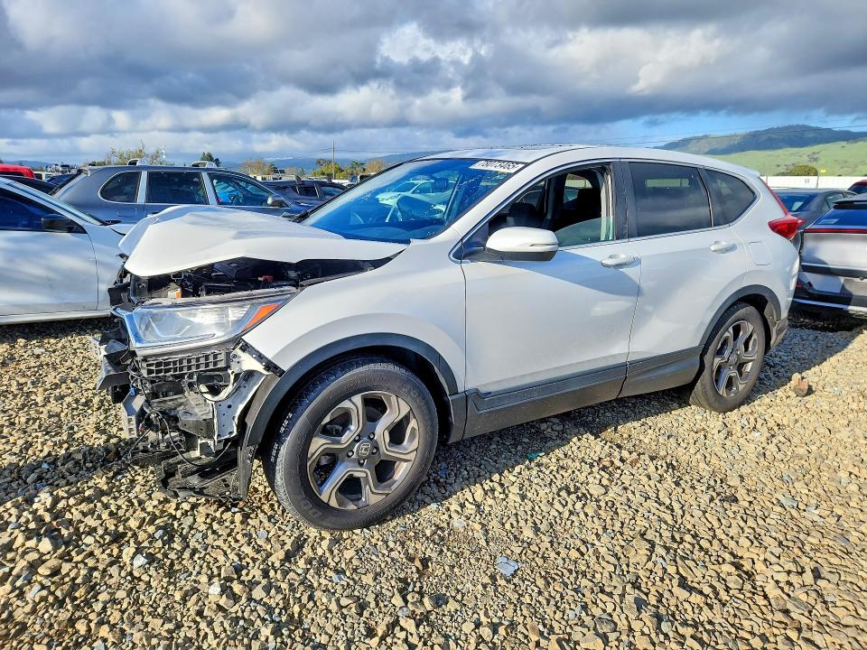 2019 HONDA CR-V — VIN 5J6RW1H59KA029399