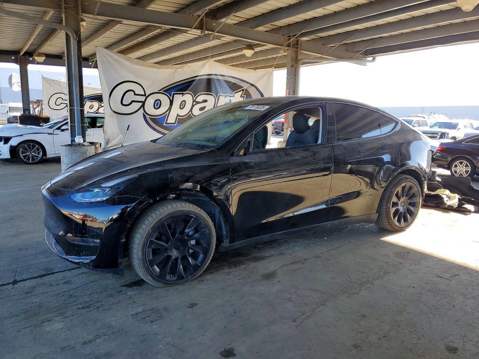 2024 TESLA MODEL Y — VIN 7SAYGDEE1RF002366