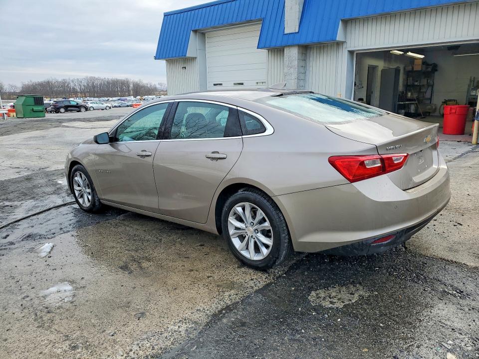 1G1ZD5ST5PF134650