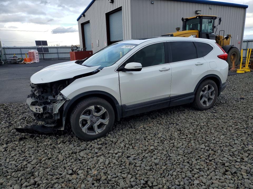 2019 HONDA CR-V — VIN JHLRW2H84KX015271