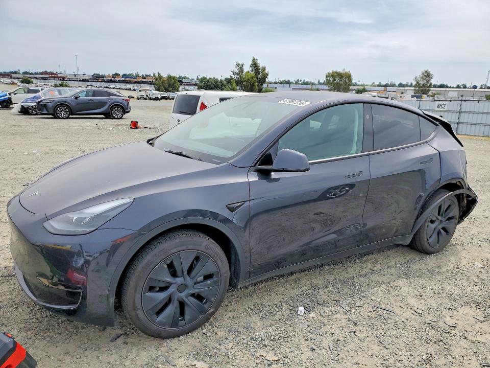 2024 TESLA MODEL Y — VIN 7SAYGDED9RF122312