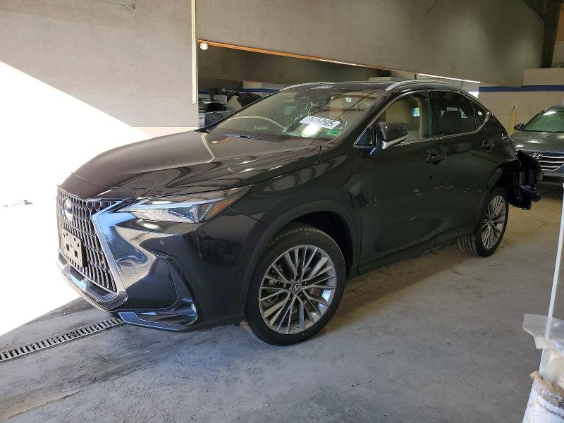 2026 LEXUS NX — VIN 2T2GGCEZ0TC106442