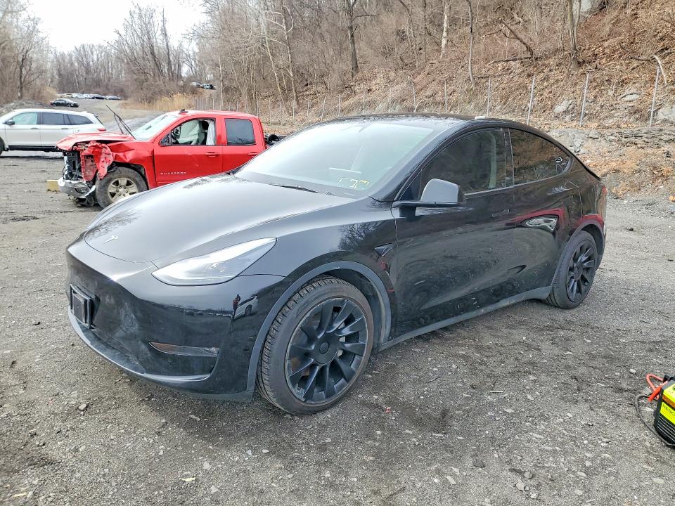 2025 TESLA MODEL Y — VIN 7SAYGAEE5SF243027