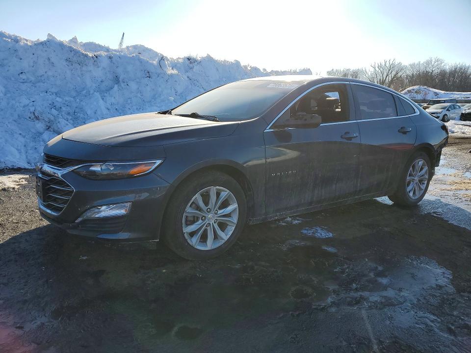 2019 CHEVROLET MALIBU — VIN 1G1ZD5ST6KF122628