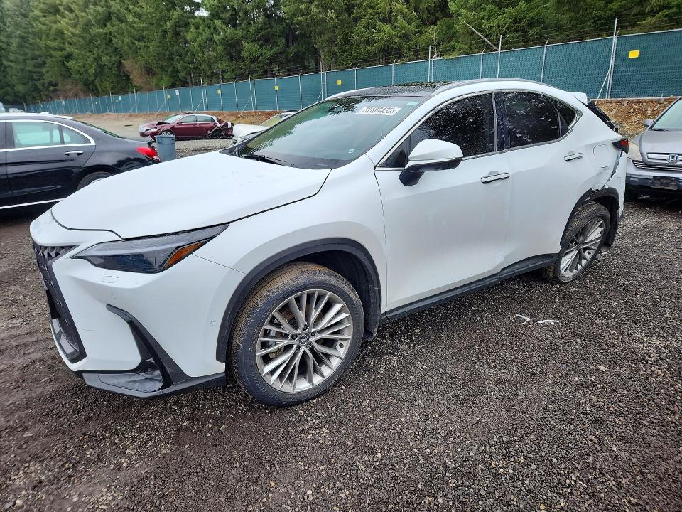 2026 LEXUS NX 350 — VIN JTJHKCEZ7T2072633