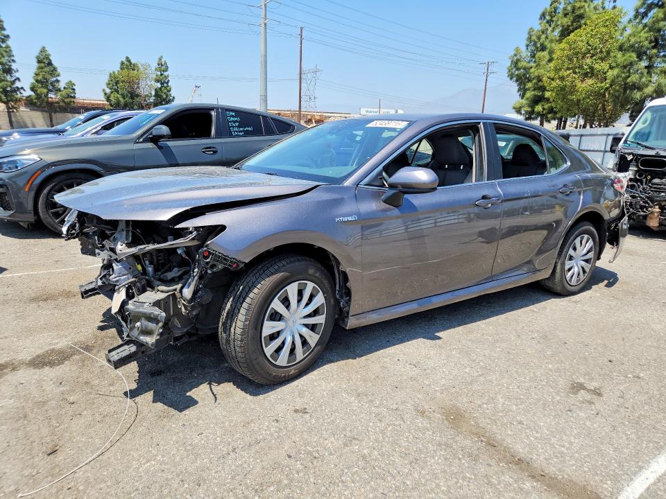 2019 TOYOTA CAMRY — VIN 4T1B31HK9KU512391