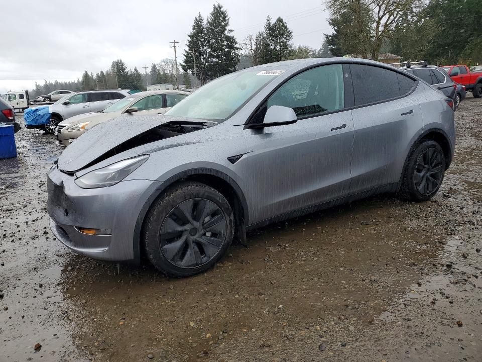 2025 TESLA MODEL Y — VIN 7SAYGDEE5SF282315