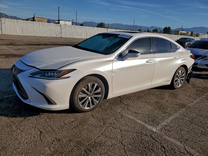 2021 LEXUS ES — VIN 58ACA1C17MU003789