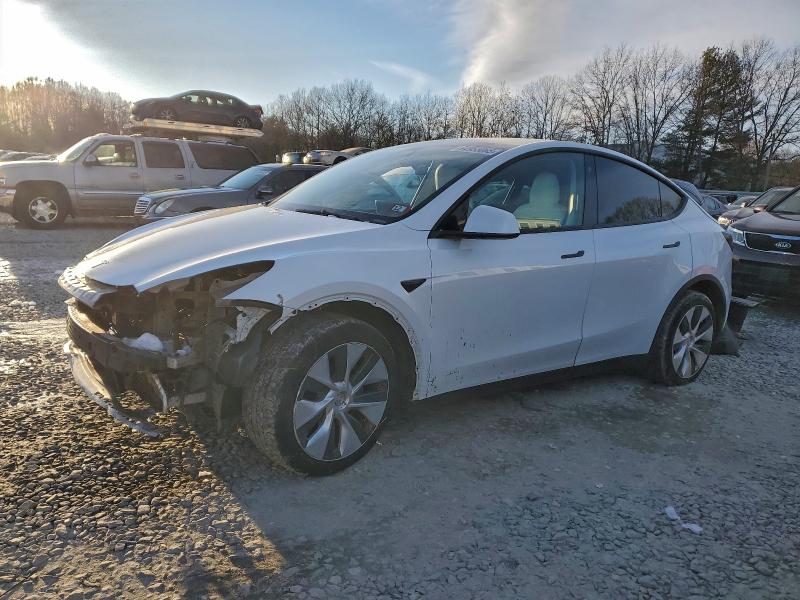 2021 TESLA MODEL Y — VIN 5YJYGDEE1MF137255