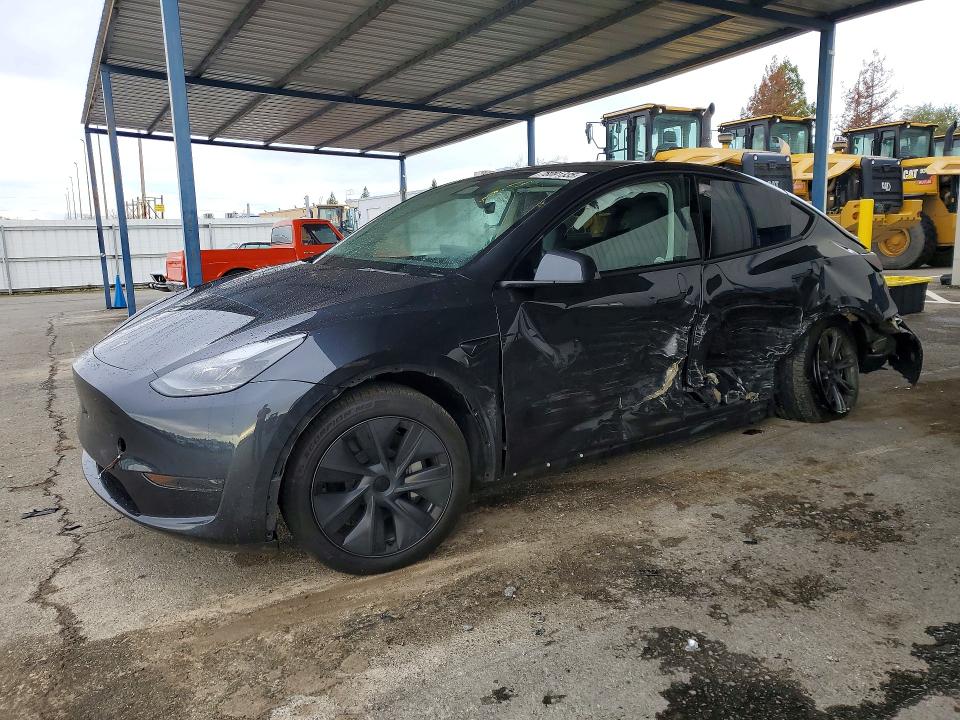 2024 TESLA MODEL Y — VIN 7SAYGDED7RF154028