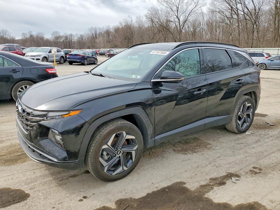 2024 HYUNDAI TUCSON HYBRID — VIN KM8JECD13RU216940