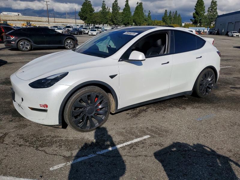 2023 TESLA MODEL Y — VIN 7SAYGDEF0PF589567