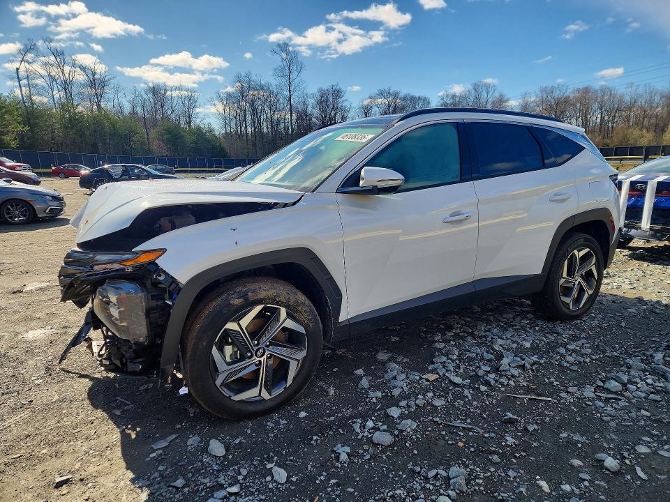 2024 HYUNDAI TUCSON HYBRID — VIN KM8JECD11RU231906