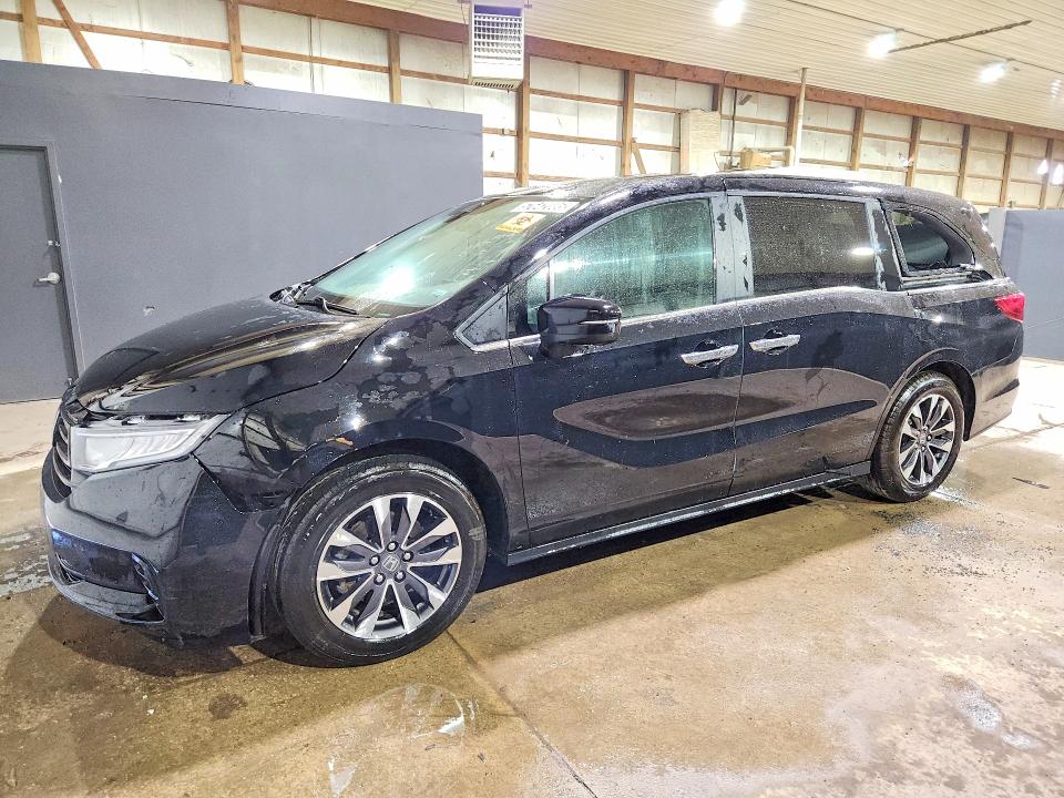 2024 HONDA ODYSSEY — VIN 5FNRL6H63RB041697