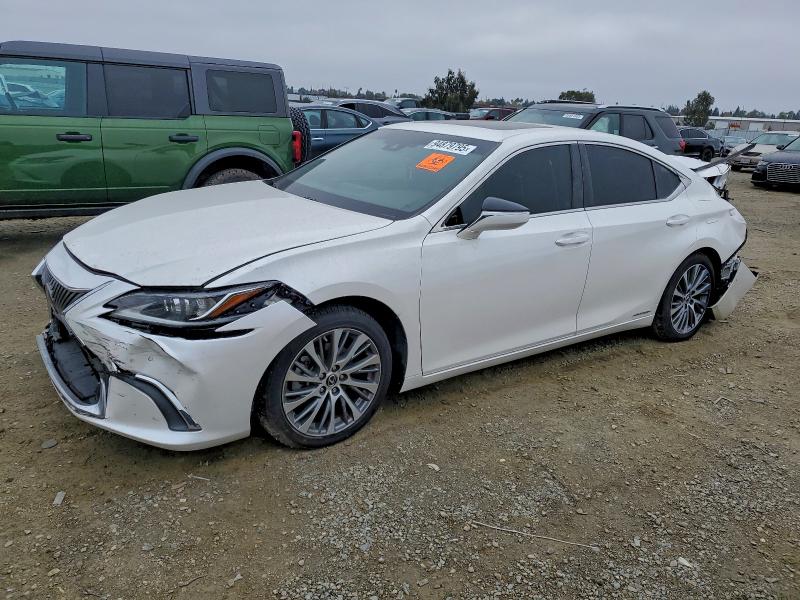 2021 LEXUS ES — VIN 58ADA1C18MU008794