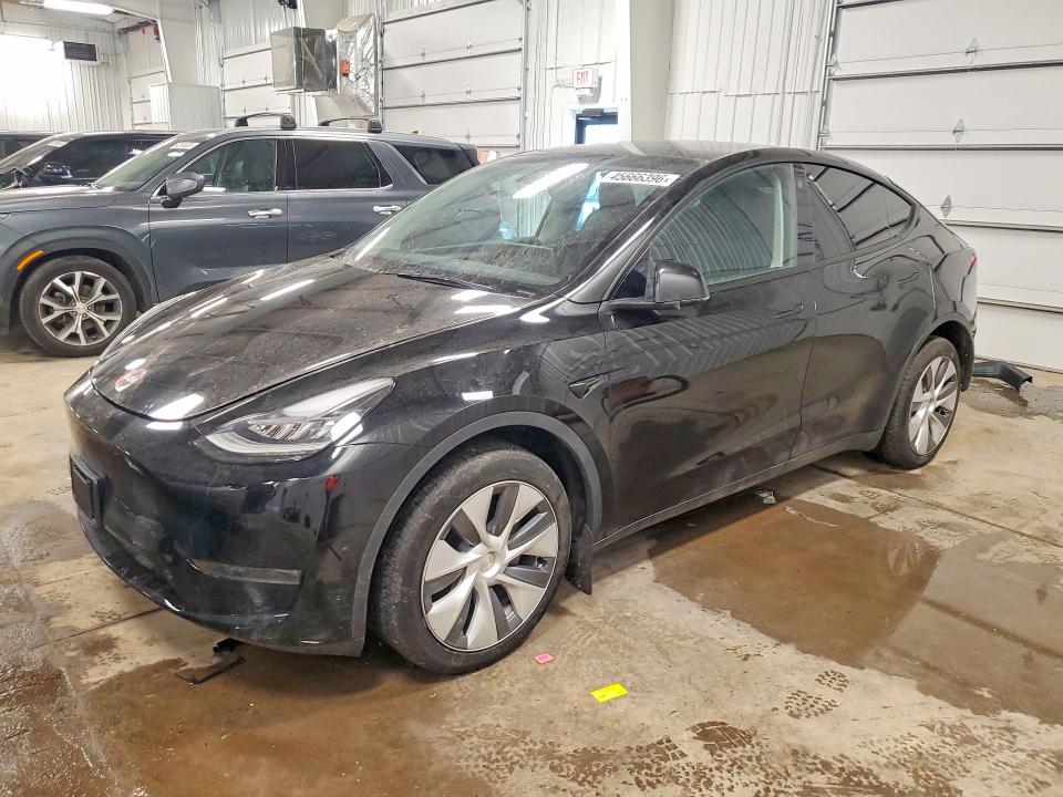 2023 TESLA MODEL Y — VIN 7SAYGDEE8PA091914