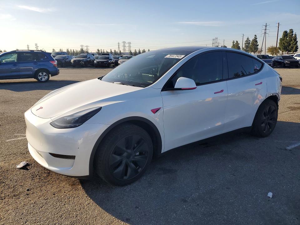 2024 TESLA MODEL Y — VIN 7SAYGDED0RF122067