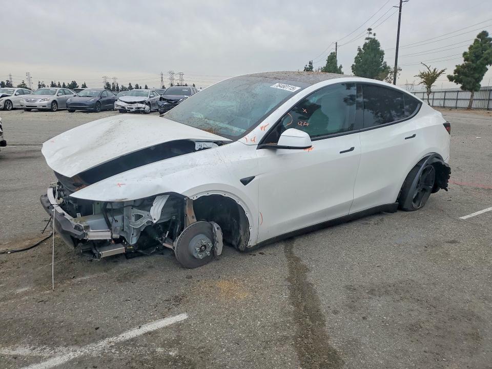 2026 TESLA MODEL Y — VIN 7SAYGDEE8TF365626