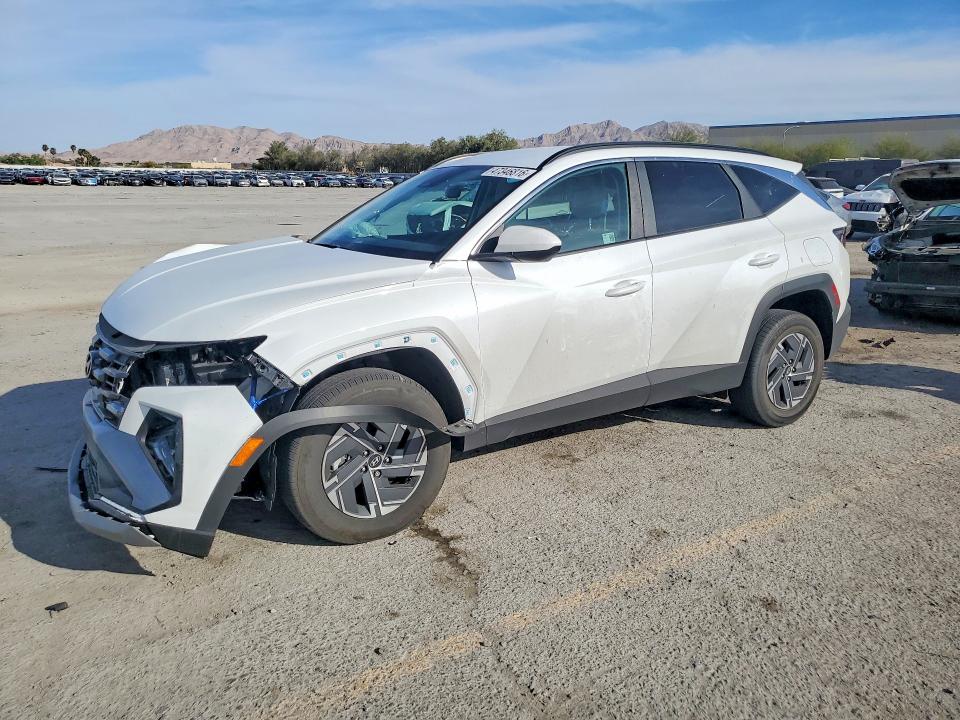 2025 HYUNDAI TUCSON HYBRID — VIN KM8JBDD1XSU306901