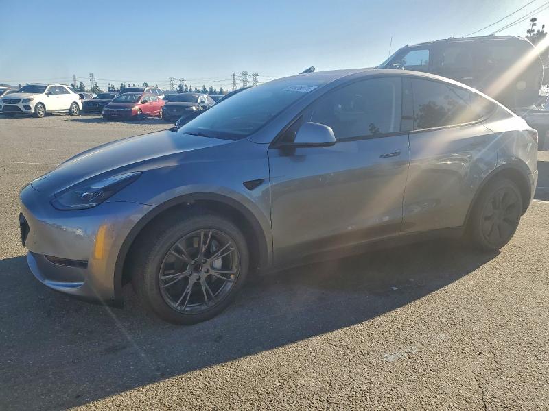 2024 TESLA MODEL Y — VIN 7SAYGDED1RF195383