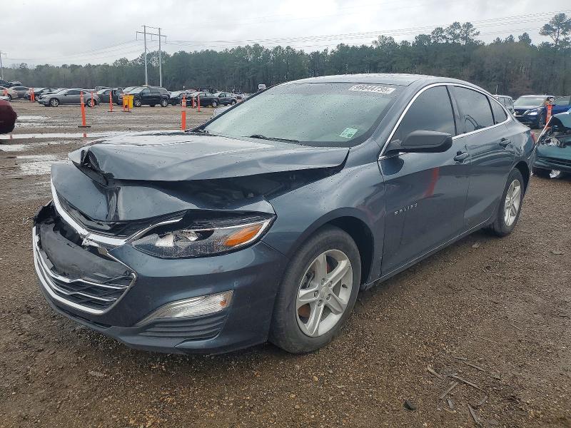 2019 CHEVROLET MALIBU — VIN 1G1ZB5ST7KF128850