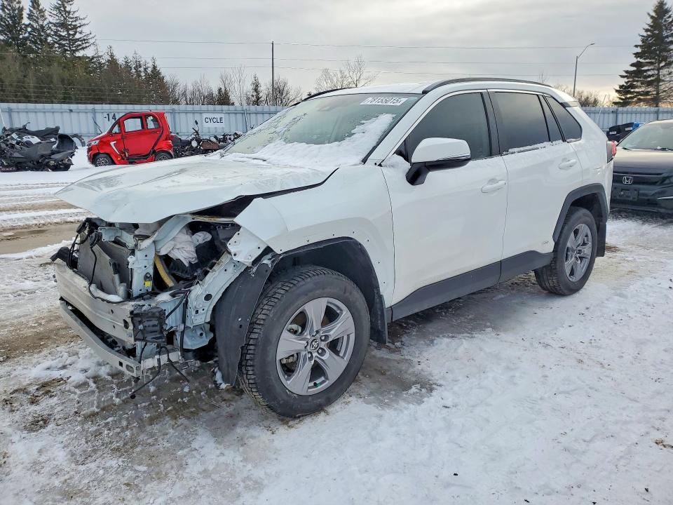 2025 TOYOTA RAV4 — VIN 2T3BWRFVXSW273024