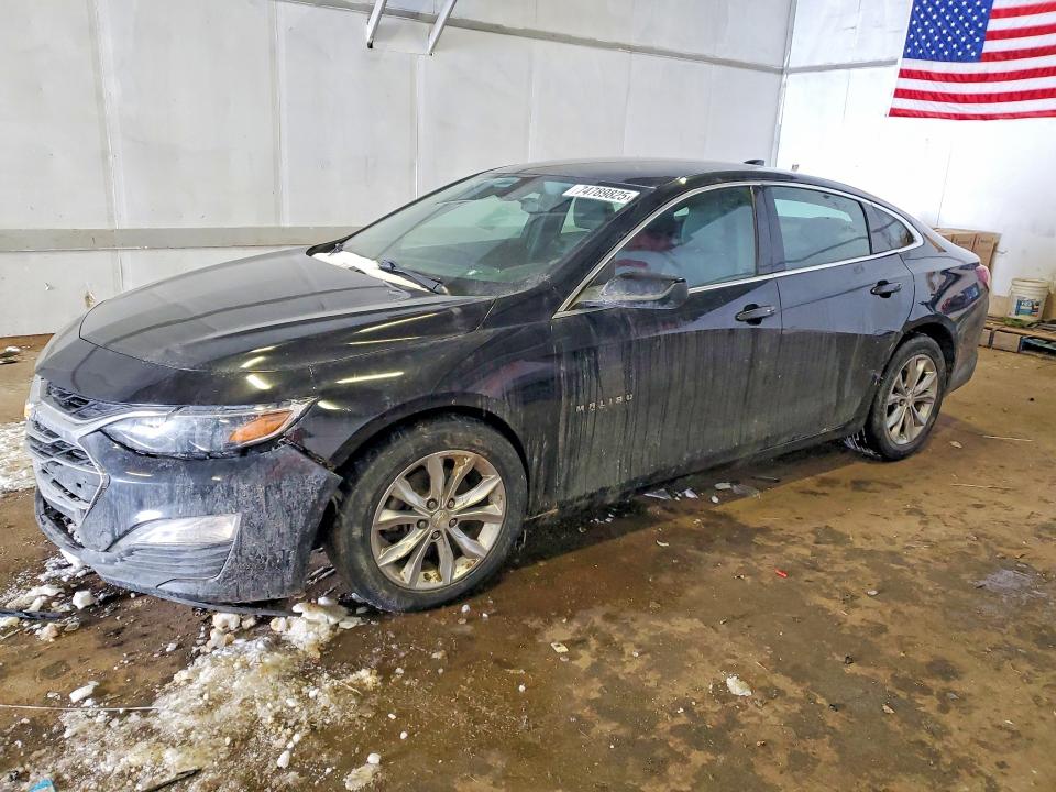 2019 CHEVROLET MALIBU — VIN 1G1ZD5STXKF123233