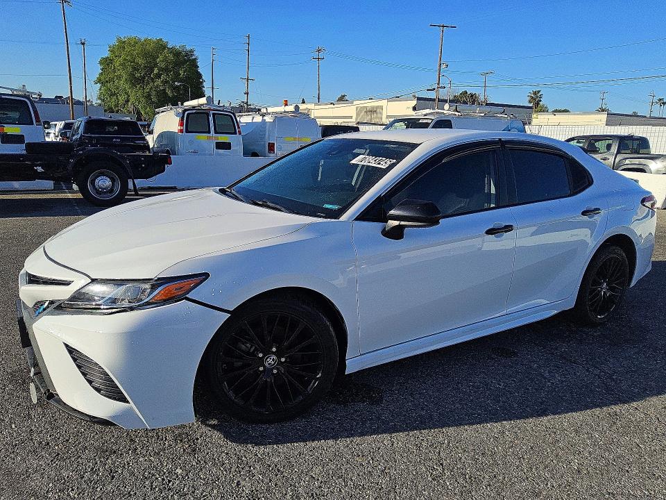 2019 TOYOTA CAMRY — VIN 4T1B11HK7KU260436