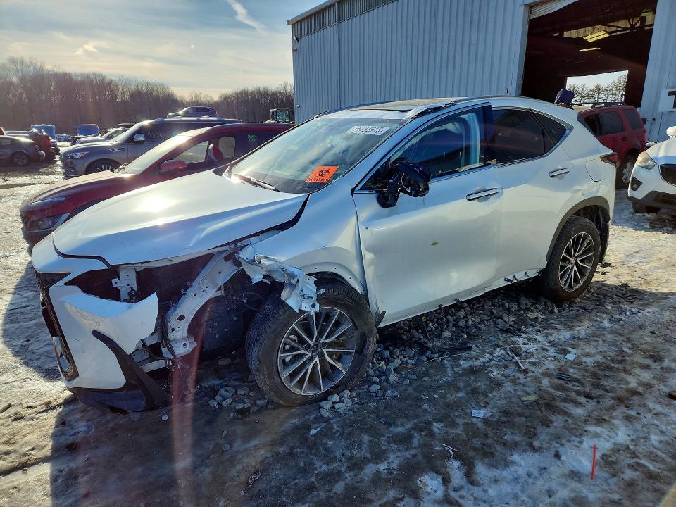 2025 LEXUS NX 350H — VIN JTJGKCEZ1S5031777