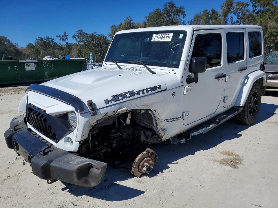 2017 JEEP WRANGLER UNLIMITED — VIN 1C4BJWEG0HL696724