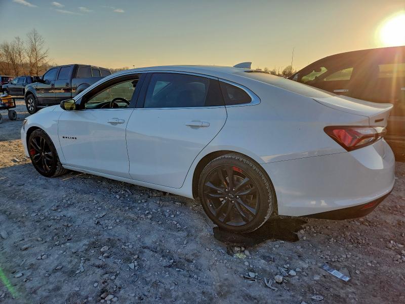 1G1ZD5ST6PF155216