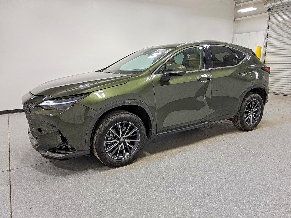 2025 LEXUS NX 250 — VIN 2T2GDCAZ7SC025094