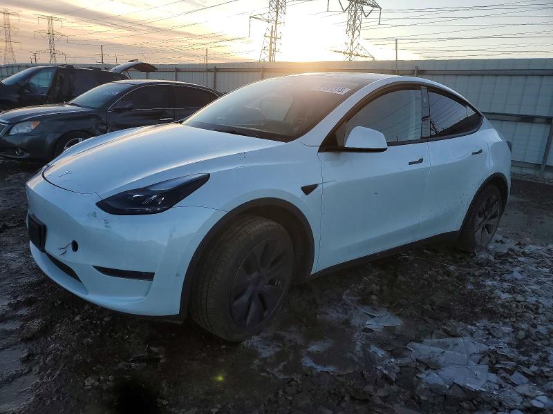 2024 TESLA MODEL Y — VIN 7SAYGDEDXRF131536