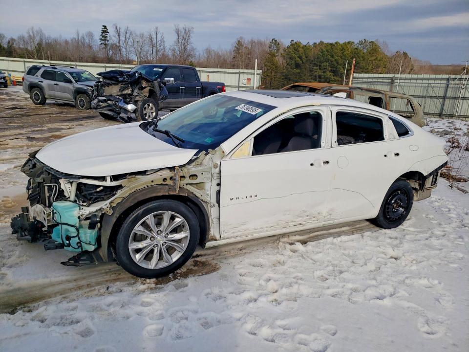 2019 CHEVROLET MALIBU — VIN 1G1ZD5ST7KF141172
