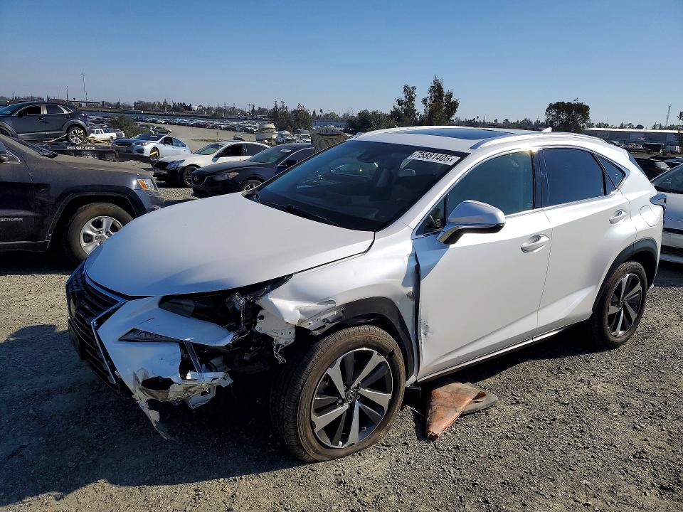 2019 LEXUS NX — VIN JTJBARBZ5K2182160
