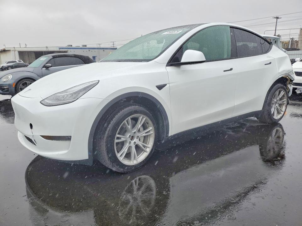 2023 TESLA MODEL Y — VIN 7SAYGDEE3PA117724