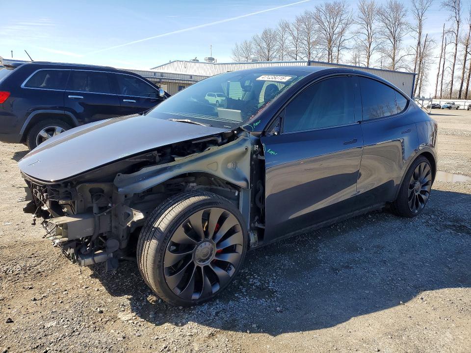2023 TESLA MODEL Y — VIN 7SAYGDEFXPF765864