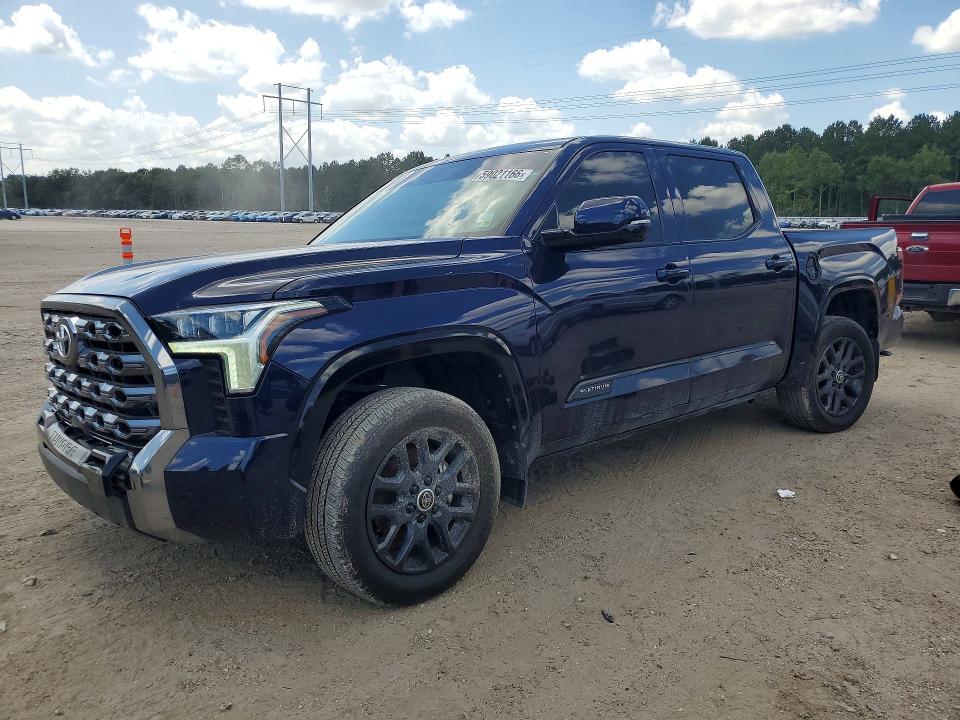2024 TOYOTA TUNDRA — VIN 5TFNA5DB3RX206087
