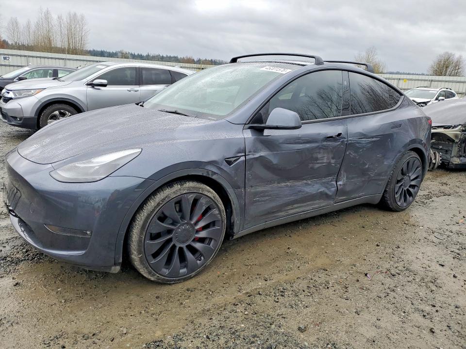 2023 TESLA MODEL Y — VIN 7SAYGDEF3PF846785